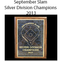 2013 